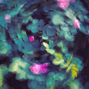 Abstract motion blur of green leaves