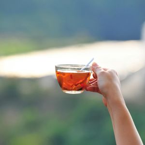 Hands holding a cup of herbal tea